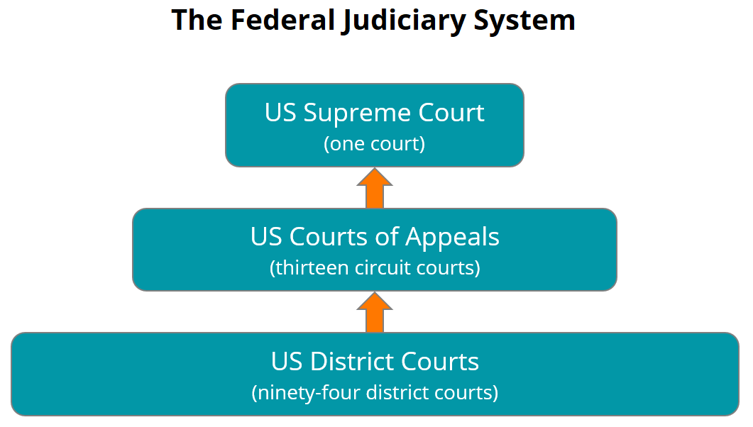 US_Federal_Judiciary_NOPROCESS_1201.png