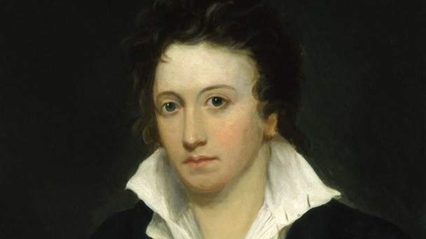 shelley color.jpg